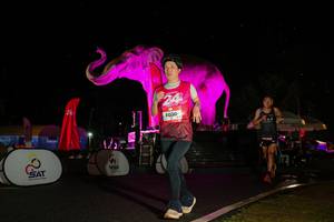 BIB: 
                            <button type="button" onclick="openModal(26543581)" class="btn btn-primary btn-sm float-right btn-popup" data-toggle="modal" data-target=".modal-high-quality">
                        <i class="fas fa-shopping-cart"></i> Add to Cart
                    </button>
                                            <button type="button" onclick="isThisMe(26543581, true)" class="btn btn-success btn-sm float-right btn-popup btn-isme hidden" data-toggle="tooltip" data-placement="bottom" title="นี่คือรูปของคุณใช่ไหม คลิกที่นี่เพื่อเอาเข้าอัลบั้ม">
                        <i class="fas fa-plus"></i> Add to album
                    </button>
                    <button type="button" onclick="isThisMe(26543581, false)" class="btn btn-warning btn-sm float-right btn-popup btn-isnotme hidden">
                        <i class="fas fa-ban"></i> Remove from album
                    </button>